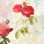 Picture of REDOUTES ROSES 2.0 - II 