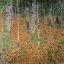 Picture of THE BIRCH WOOD