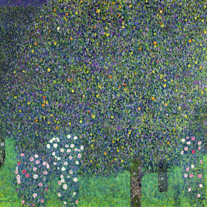 Picture of ROSES UNDER THE TREES