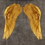 Picture of ANGEL WINGS I