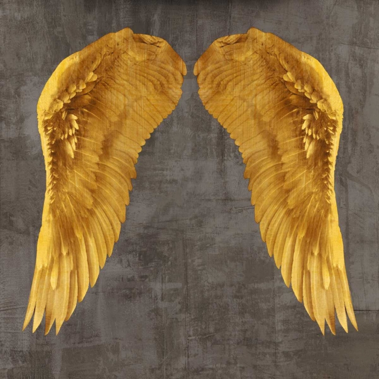 Picture of ANGEL WINGS I