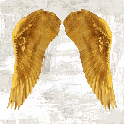Picture of ANGEL WINGS IV