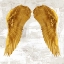 Picture of ANGEL WINGS IV