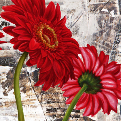 Picture of RED GERBERAS III