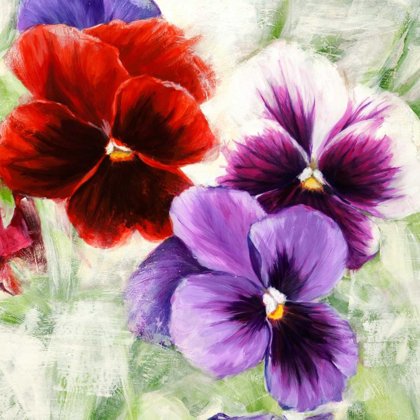 Picture of PANSIES I