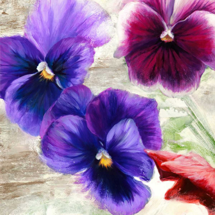 Picture of PANSIES II