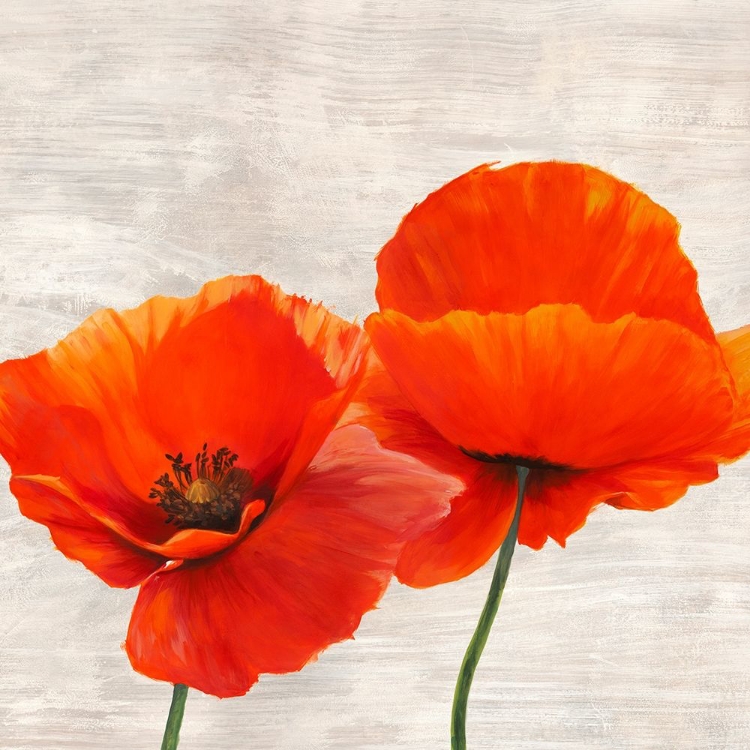 Picture of BRIGHT POPPIES II