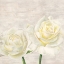 Picture of CLASSIC ROSES I