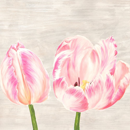 Picture of CLASSIC TULIPS I