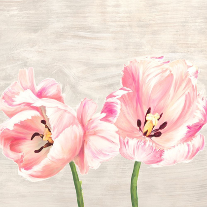 Picture of CLASSIC TULIPS II