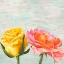 Picture of FUNKY ROSES I
