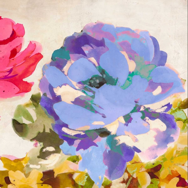 Picture of COLORFUL JEWELS II