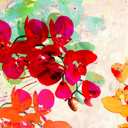 Picture of ORCHIDREAMS (DETAIL)