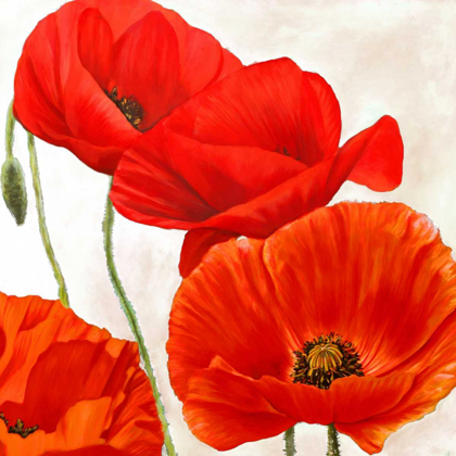 Picture of POPPIES II