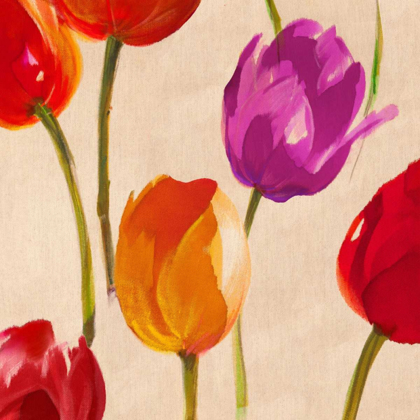Picture of TULIP FUNK (DETAIL)