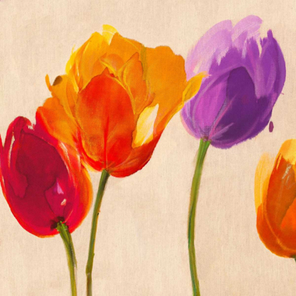 Picture of TULIPS AND COLORS (DETAIL)