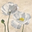 Picture of POPPIES IN WHITE I