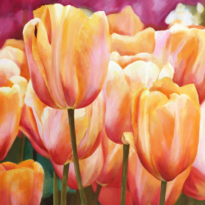 Picture of SPRING TULIPS I