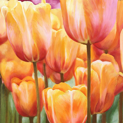 Picture of SPRING TULIPS II