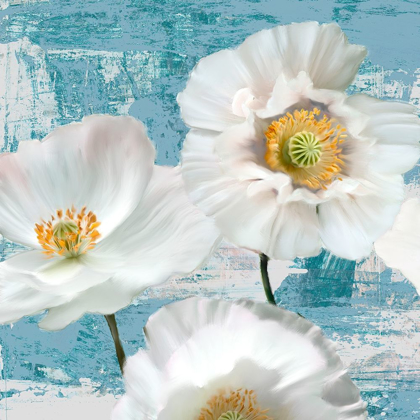 Picture of WASHED POPPIES (AQUA) I