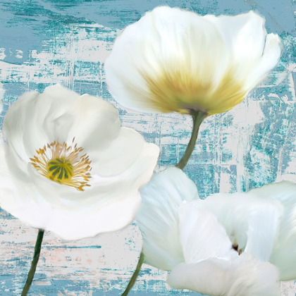 Picture of WASHED POPPIES (AQUA) II