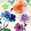 Picture of FLORA II