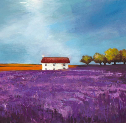 Picture of FIELD OF LAVENDER