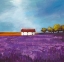 Picture of FIELD OF LAVENDER