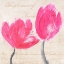 Picture of CLASSIC TULIPS I