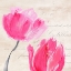 Picture of CLASSIC TULIPS II