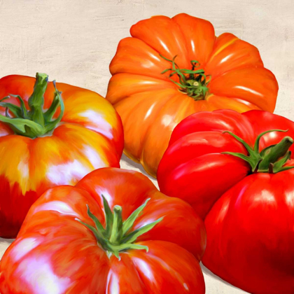 Picture of TOMATOES