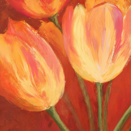 Picture of ORANGE TULIPS (DETAIL)