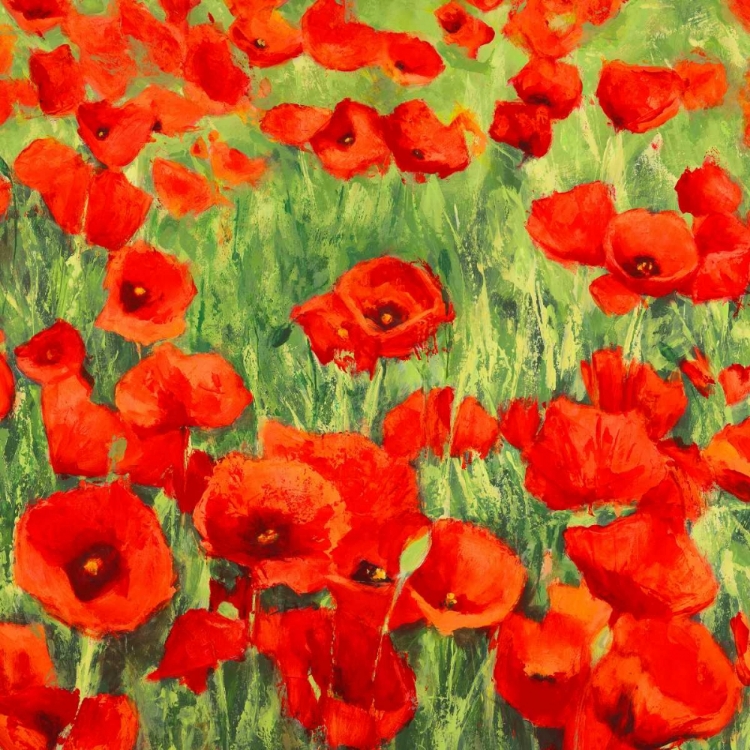 Picture of POPPIES