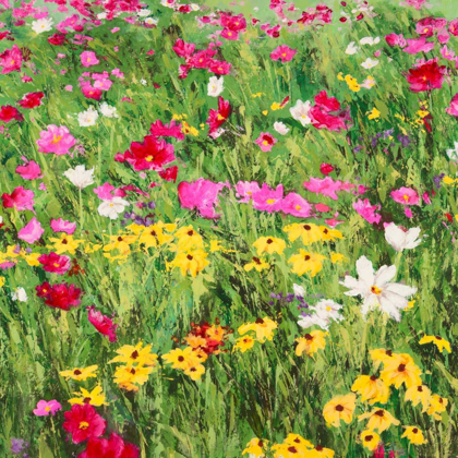 Picture of COUNTRY FLOWERS
