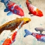 Picture of KOI I