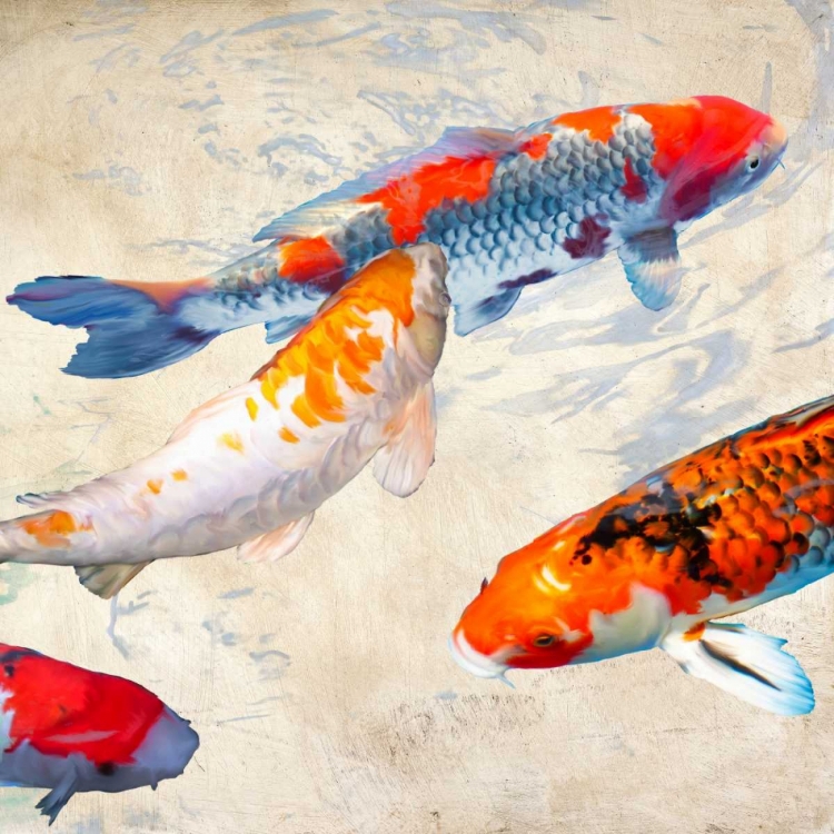 Picture of KOI II