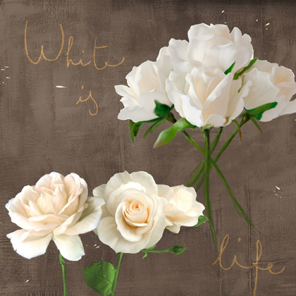 Picture of WHITE ROSES