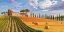 Picture of COLLINE TOSCANE