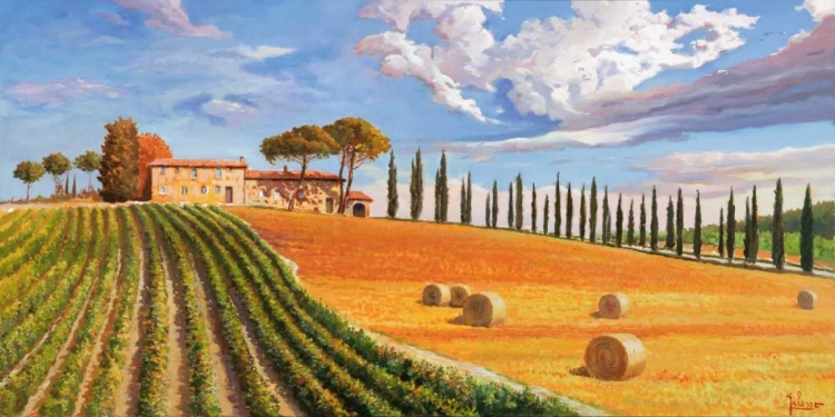 Picture of COLLINE TOSCANE