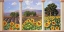 Picture of FINESTRA SUI GIRASOLI