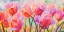 Picture of TULIPS IN WONDERLAND