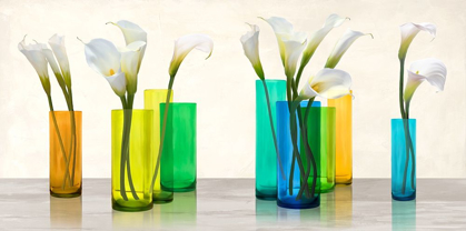 Picture of CALLAS IN CRYSTAL VASES