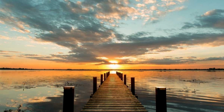 Picture of MORNING LIGHTS ON A JETTY (DETAIL)