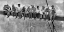 Picture of NEW YORK CONSTRUCTION WORKERS LUNCHING ON A CROSSBEAM 1932