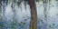 Picture of MORNING WITH WEEPING WILLOWS I (DETAIL)
