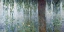 Picture of MORNING WITH WEEPING WILLOWS II (DETAIL)