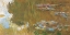 Picture of THE WATER LILY POND
