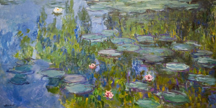 Picture of WATER LILIES