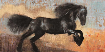 Picture of BLACK STALLION