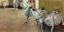 Picture of THE DANCE CLASS (DETAIL)